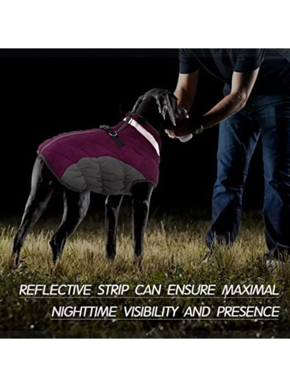 Cozy Fleece Dog Winter Jacket for Small Dogs with Harness - Warm Pet Coat